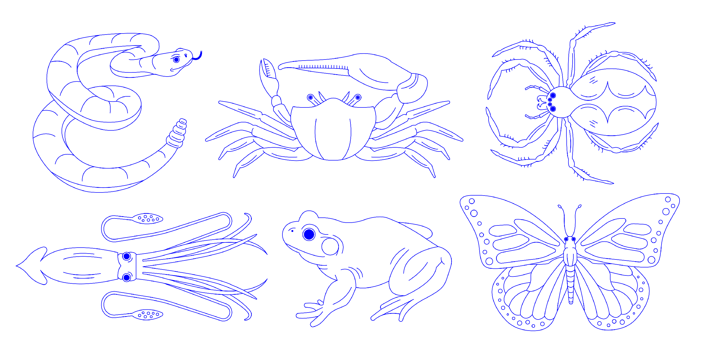 illustration scientifique vectorielle animaux